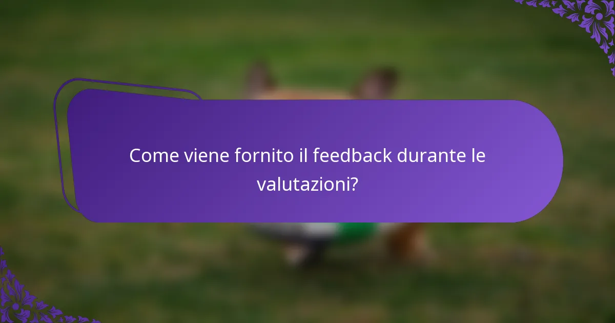 Come viene fornito il feedback durante le valutazioni?