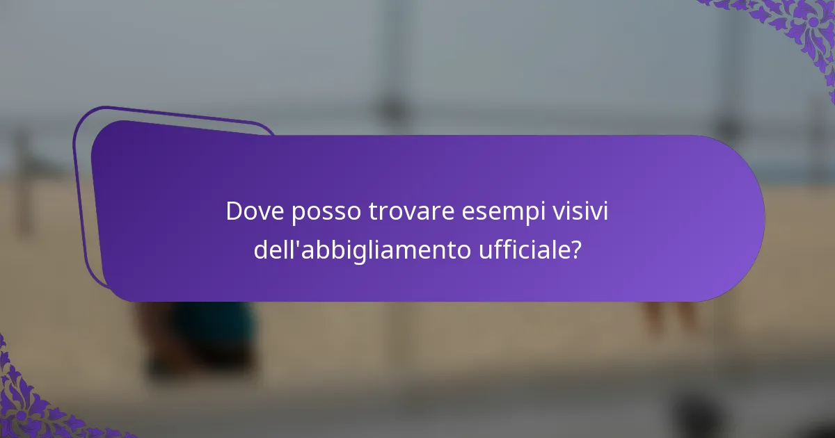 Dove posso trovare esempi visivi dell'abbigliamento ufficiale?