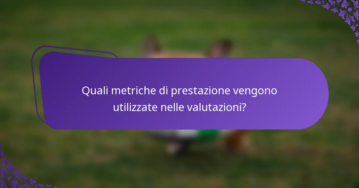 Quali metriche di prestazione vengono utilizzate nelle valutazioni?